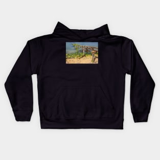 Moeraki jetty. Kids Hoodie